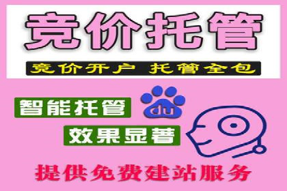 百度竞价代运营公司成功案例：广告效果显著提升的秘诀